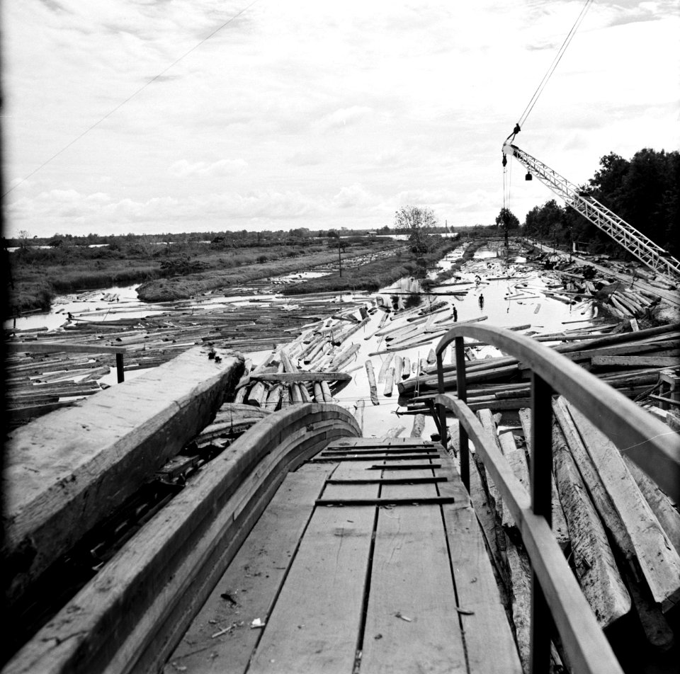 De zagerij van de Bruynzeel Suriname Houtmaatschappij, Bestanddeelnr 252-5296