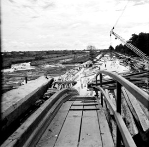 De zagerij van de Bruynzeel Suriname Houtmaatschappij, Bestanddeelnr 252-5296