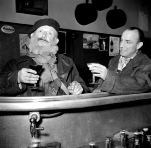 De twee mannen staan aan de bar, Bestanddeelnr 254-0008