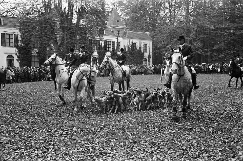 De slipjacht gaat met de ruiters en de meute foxterriërs van start, Bestanddeelnr 919-7576