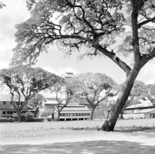 De suikerfabriek Mariënburg aan de Commewijnerivier in Suriname, Bestanddeelnr 252-2630