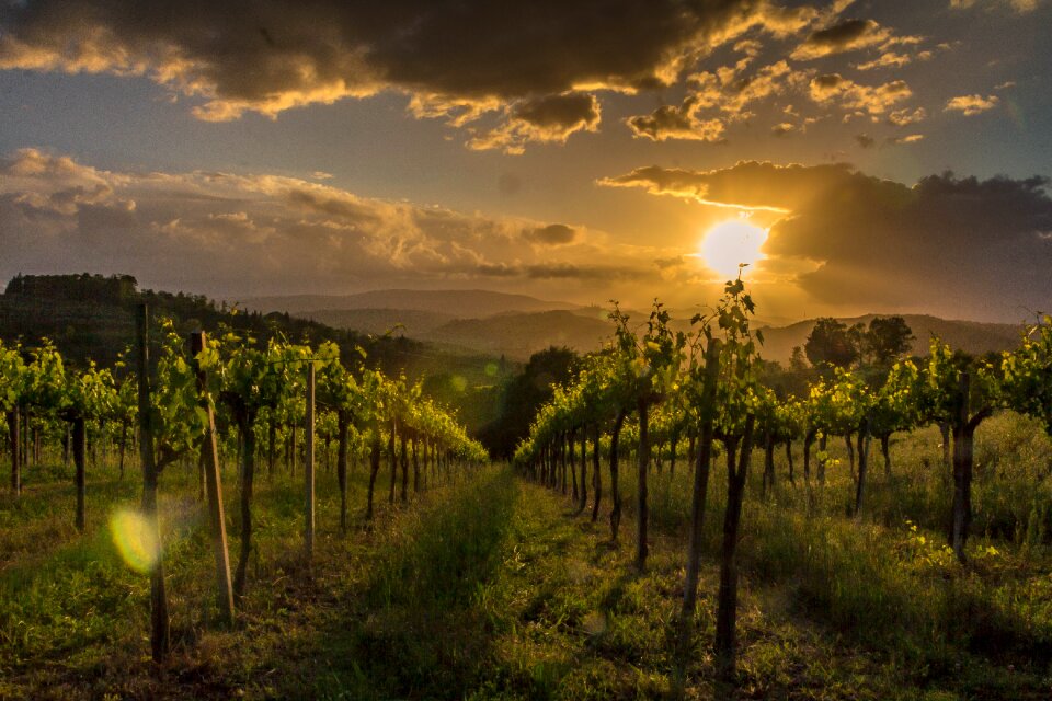 Landscape holiday evening sun