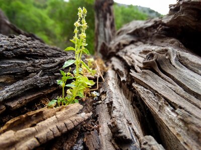 Landscape nature mountain