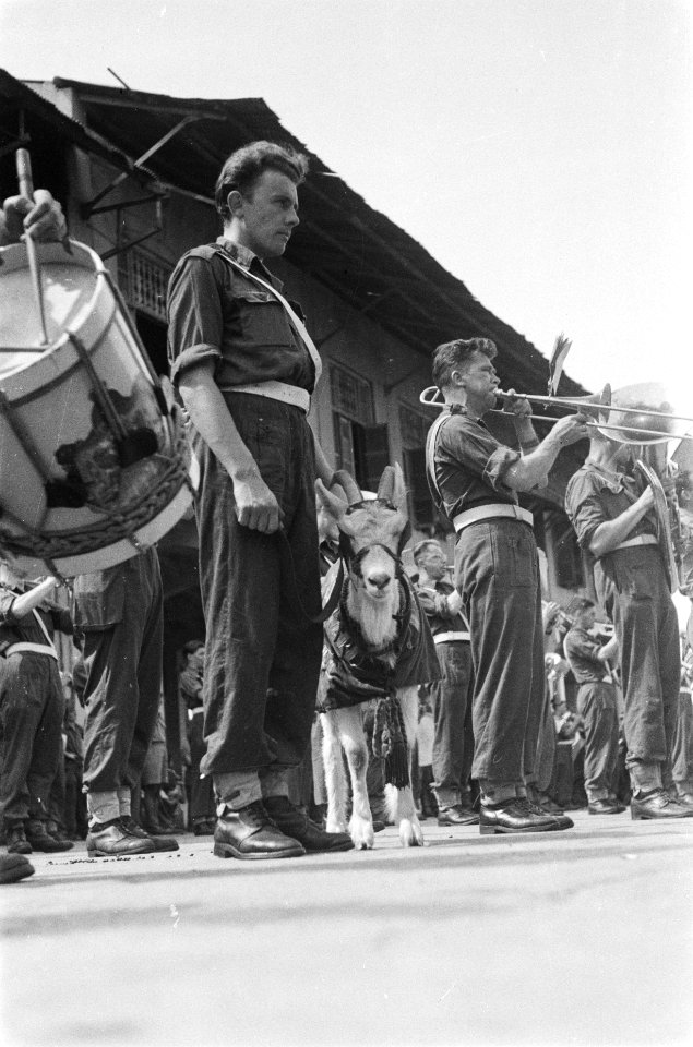 De Prins Bernhard Kapel speelt op de kade. Mascotte Kees de Bok, Bestanddeelnr 92-5-2