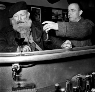 De twee mannen staan aan de bar, Bestanddeelnr 254-0007