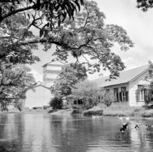 De suikerfabriek Mariënburg aan de Commewijnerivier in Suriname, Bestanddeelnr 252-2625
