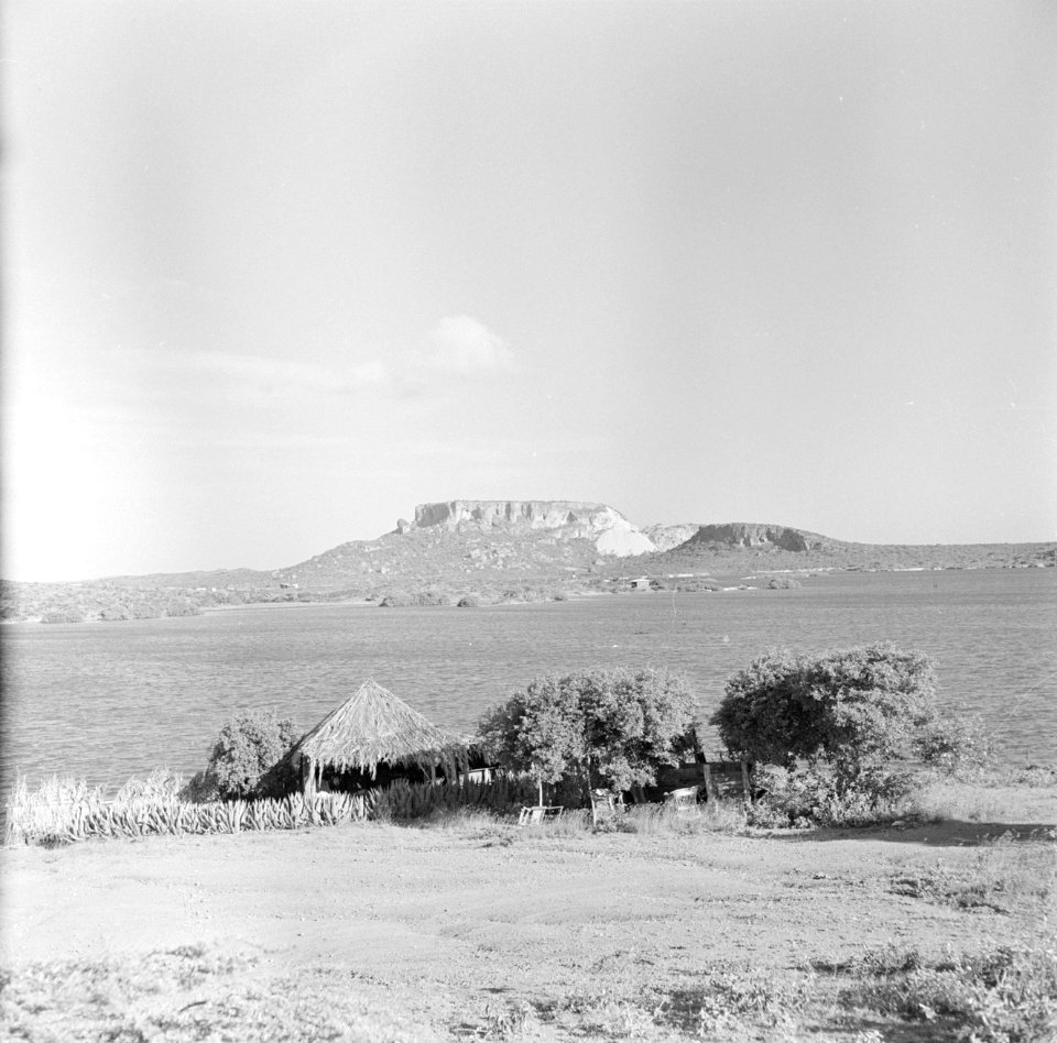 De Tafelberg te Curaçao, Bestanddeelnr 252-2317
