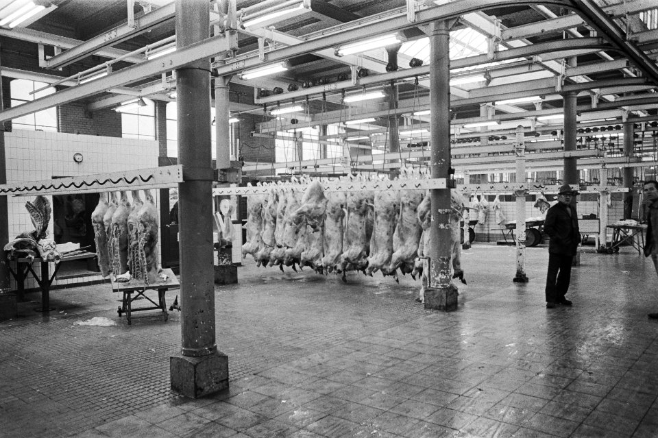 De slachtafdeling van het abattoir, Bestanddeelnr 928-9937