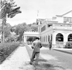 De tuin van het Gouvernementspaleis aan het Gouvernementsplein in Paramaribo, Bestanddeelnr 252-2282