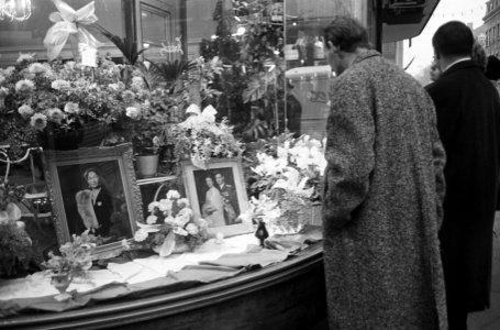 De troonwisseling in Luxemburg, winkels portretten Hertogelijke familie in de et, Bestanddeelnr 917-1205
