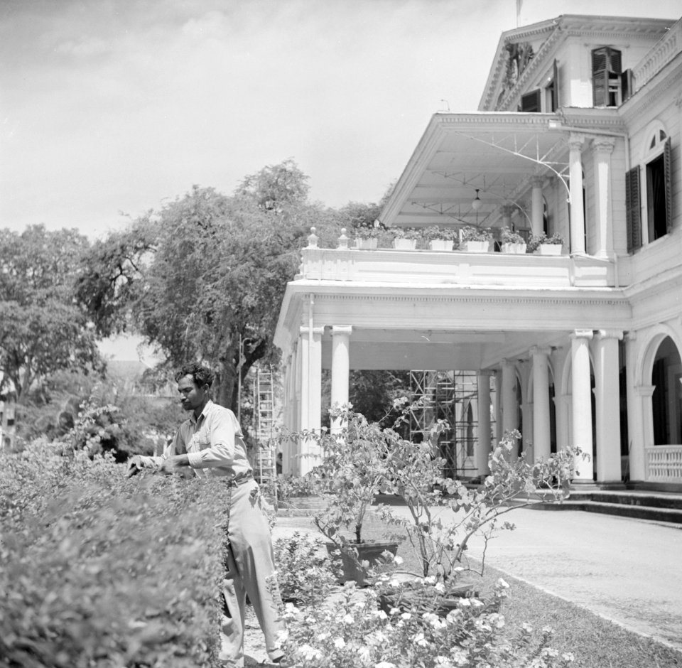 De tuin van het Gouverneurspaleis aan het Gouvernementsplein in Paramaribo, Bestanddeelnr 252-2278