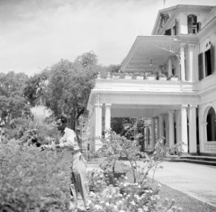 De tuin van het Gouverneurspaleis aan het Gouvernementsplein in Paramaribo, Bestanddeelnr 252-2278