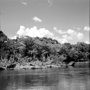 De Surinamerivier, Bestanddeelnr 252-4382