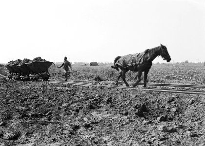 De strikkenmaaskant-west, Bestanddeelnr 159-0134