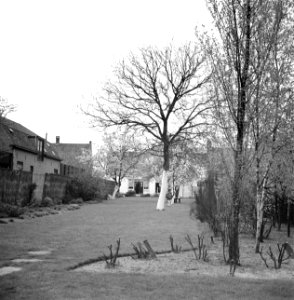 De tuin van de heer Numann, Bestanddeelnr 252-1918 photo