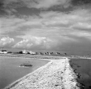 De slavenhuisjes bij de zoutpannen op Bonaire, Bestanddeelnr 252-8394