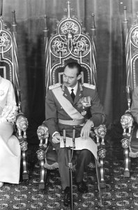 De troonwisseling in Luxemburg, Groot Hertog Jean tijde zijn rede in het parleme, Bestanddeelnr 917-1194
