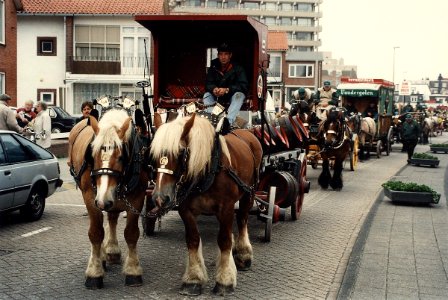 De trekparade Brussel-Amsterdam, 42 Belgische en Nederlandse trekpaarden doen over de 370 km wel zestien dagen. Het traject begint in Brussel om via Zeeland en Zuid-Holland in Zandvoort aan , NL-HlmNHA 54036275