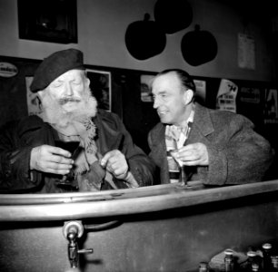 De twee mannen staan aan de bar, Bestanddeelnr 254-0006