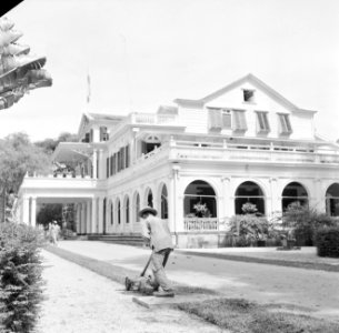 De tuin van het Gouvernementspaleis aan het Gouvernementsplein in Paramaribo, Bestanddeelnr 252-2288