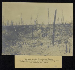 De slag bij den Chemin des Dames. Stukgeschoten terrein op de Zuidelijke helling, Bestanddeelnr 158-1290