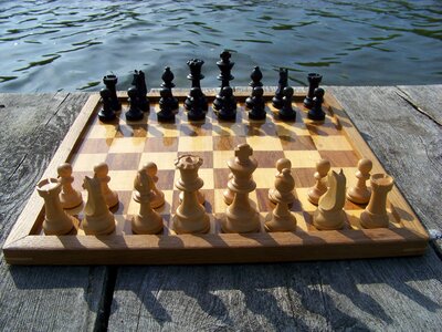 Chess pieces the basic position staunton
