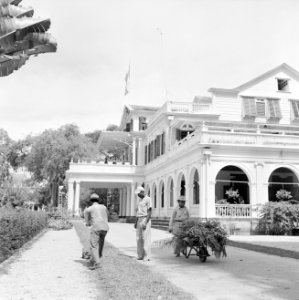 De tuin van het Gouvernementspaleis aan het Gouvernementsplein in Paramaribo, Bestanddeelnr 252-2287