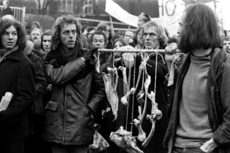 Demonstratie tegen oorlog in Vietnam van meer dan 50.000 mensen in Utrecht, de d, Bestanddeelnr 926-1398