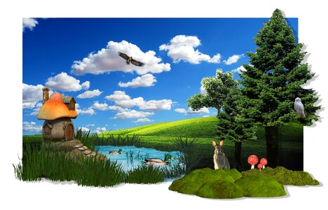 Mood nature landscape