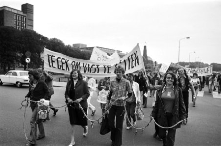 Demonstratie tegen krankzinnigheidswet te gek om vast te zitten in Den Haag , Bestanddeelnr 928-6035