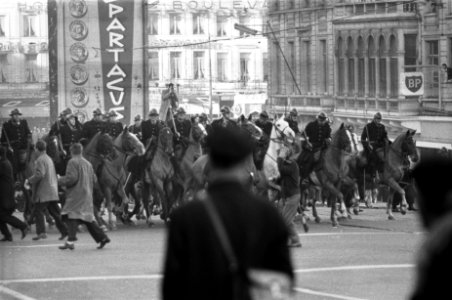 Demonstraties in Brussel tegen de Eenheidswet, bereden Rijkswacht voert een char, Bestanddeelnr 911-9326