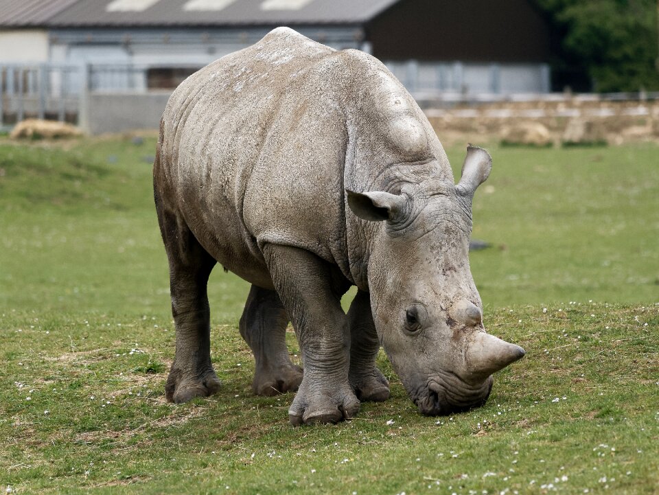 Park nature conservation