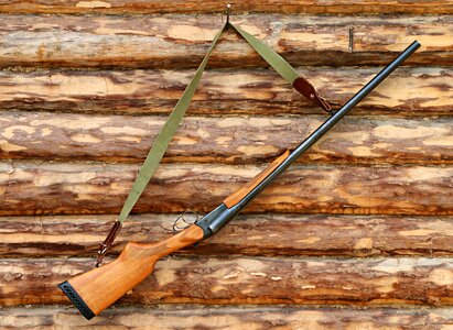 Hunting brown hunter