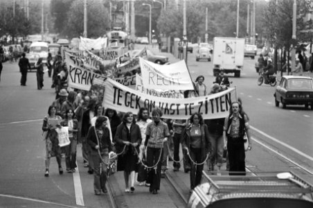 Demonstratie tegen krankzinnigheidswet te gek om vast te zitten in Den Haag , Bestanddeelnr 928-6037