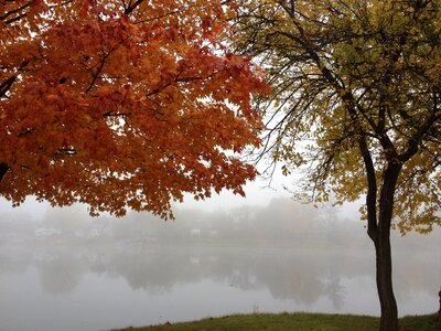 Landscape nature water
