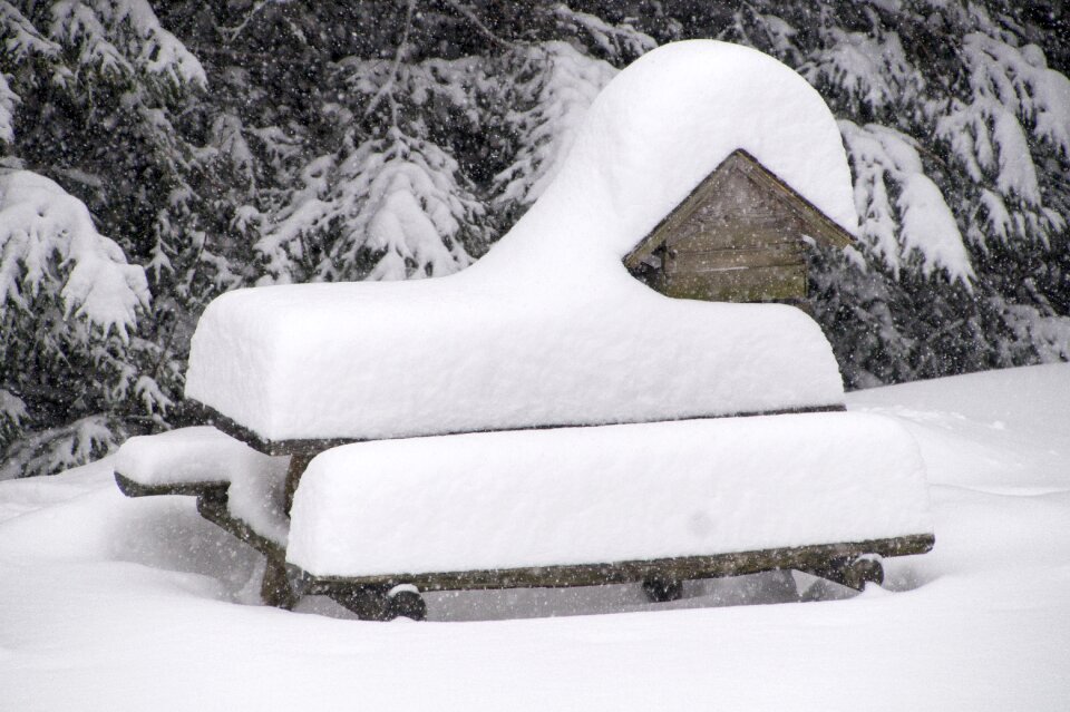 Wintry snowy landscape