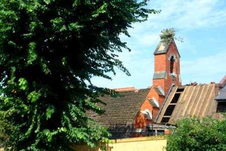 Demolition of the Former St Alban's Church, Coombe Road, Brighton (August 2013) (14)