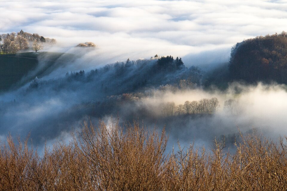 Mist sea of fog mood