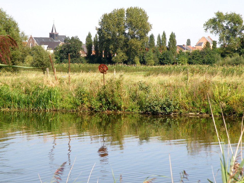 Denderbelle vanop Denderdijk
