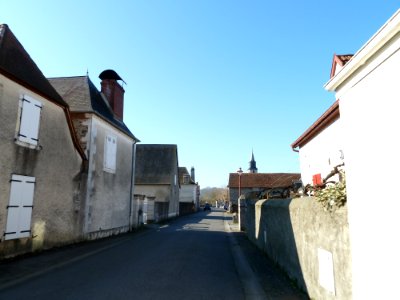 Denguin vue 3
