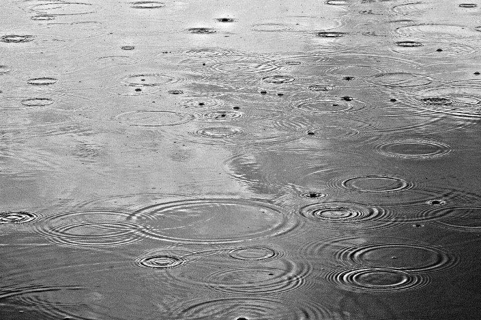 Rain on water pond water drop
