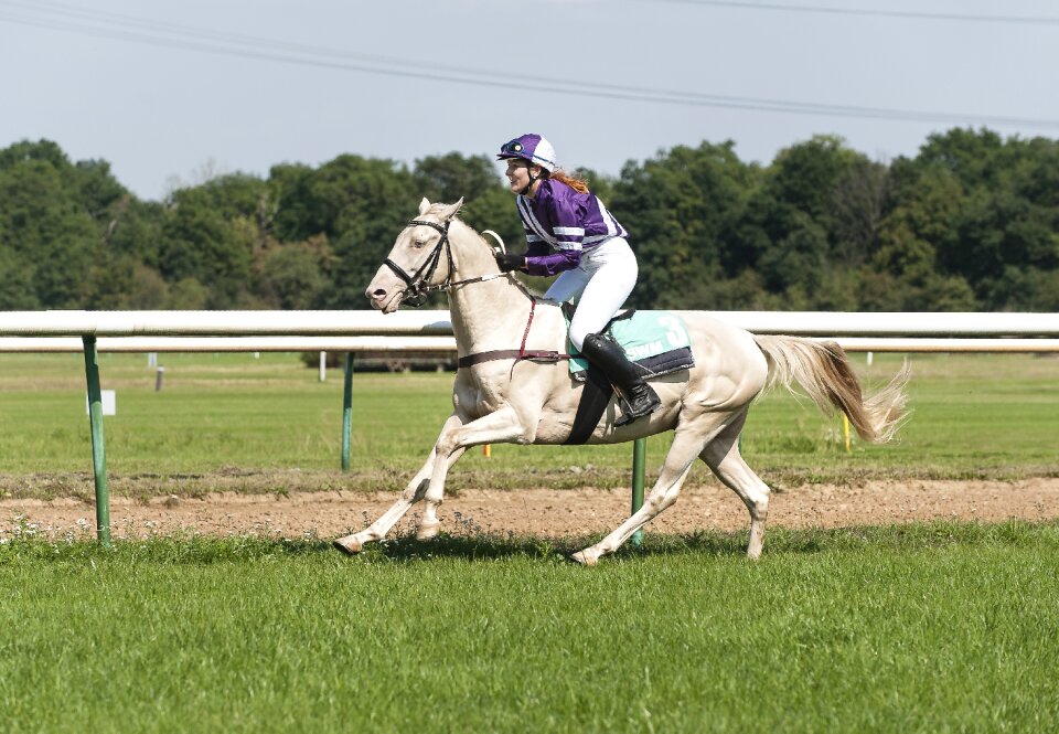 Women's power racetrack magdeburg horse