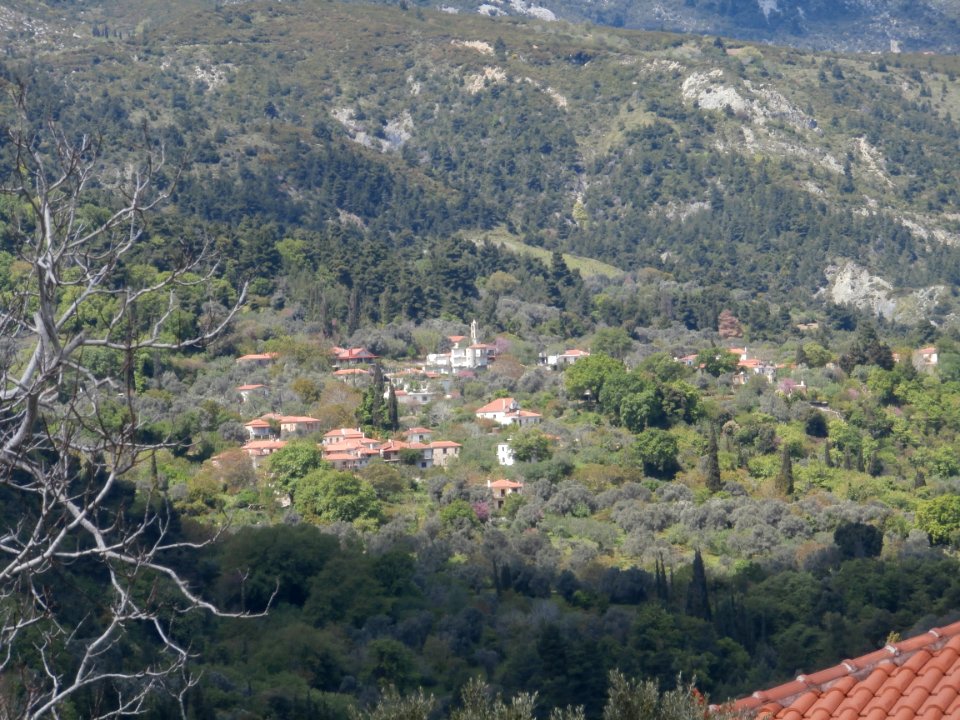 Dendra (Kymi)
