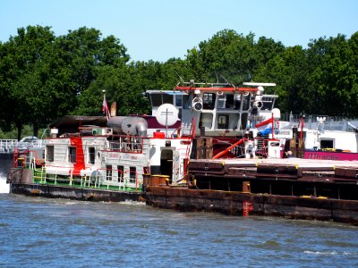 Denija - ENI 08548021, Amsterdam-Rijn kanaal, pic3