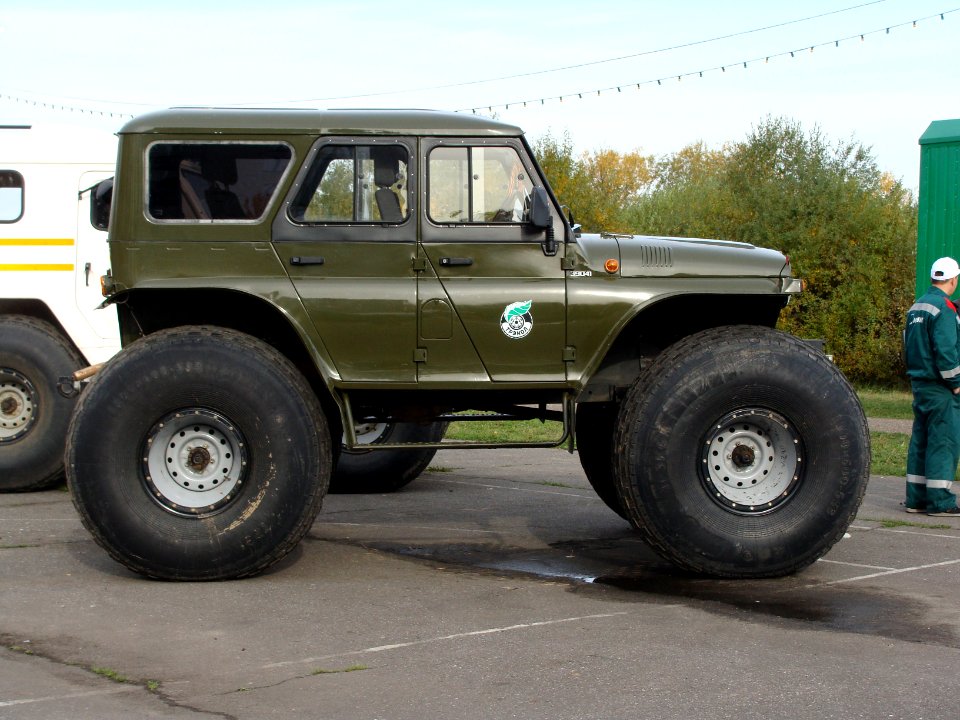 Den rabotnikov lesa, Koryazhma 2010 (020)