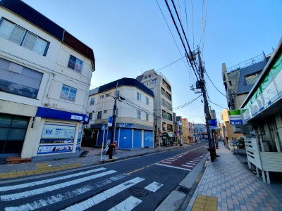 Denenchofu streetscape photo