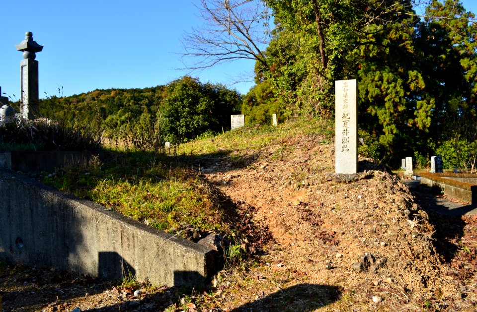 Den-Ki-no-Natsui Site, gaikan