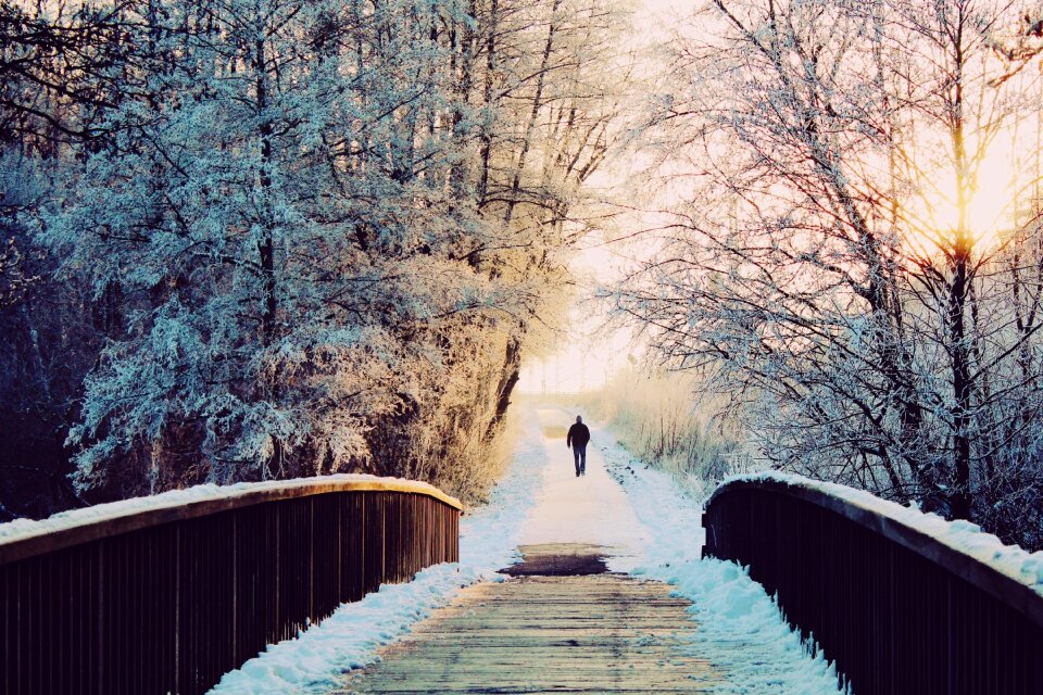 Walk wintry winter photo