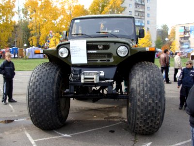 Den rabotnikov lesa, Koryazhma 2010 (019)
