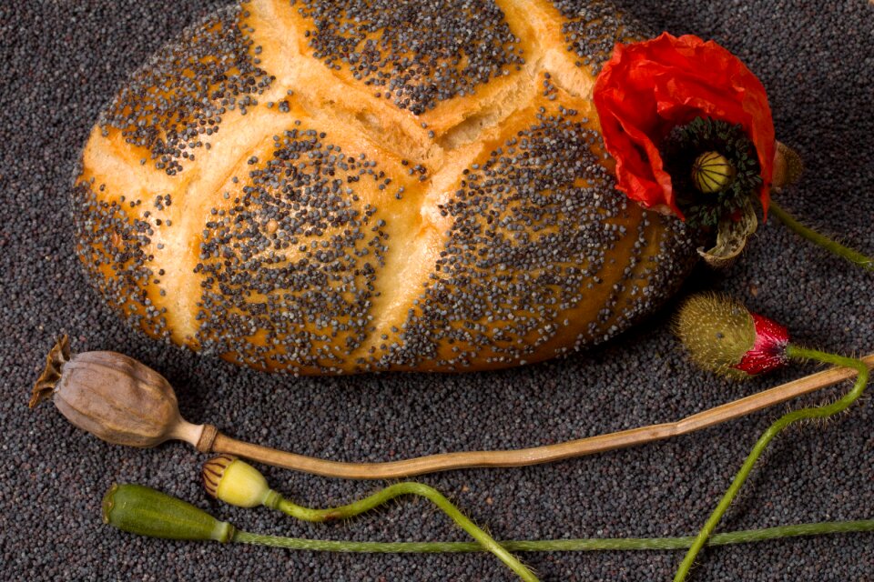 Mohnbrötchen boll poppy seeds